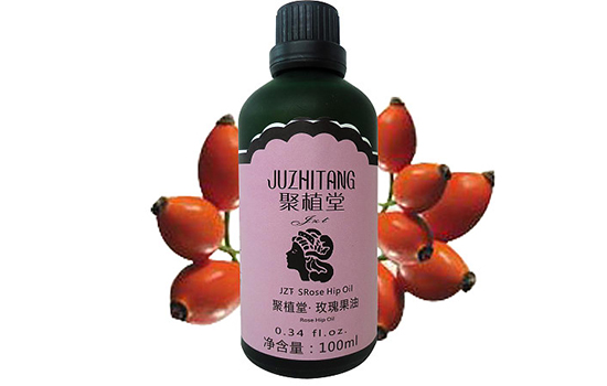 玫瑰果油白天可以用吗 来自南智利的美容秘方