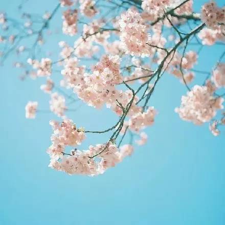 找个好人就嫁了吧 找个真心对你好的人，看得心都碎了