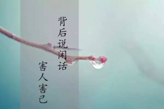 聪明人是如何思考的 聪明人，一辈子，三不说