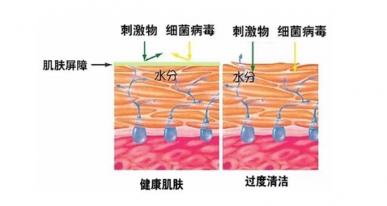角质层为什么会变薄
