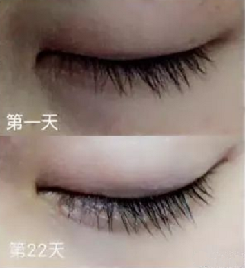 canmake睫毛增长液有用吗 井田睫毛增长液怎么样