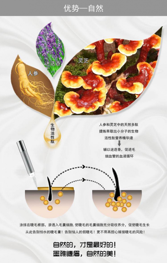 墨雅眉毛滋养液 纹眉