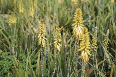 夏季护肤推荐