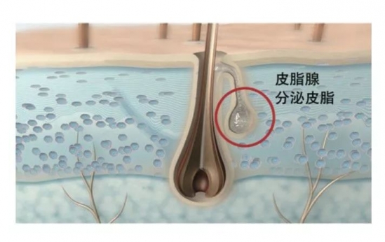 女生什么发型好看