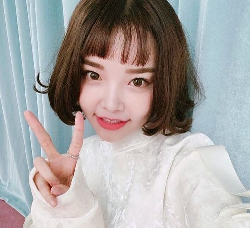发型女2024 2024女发型图片