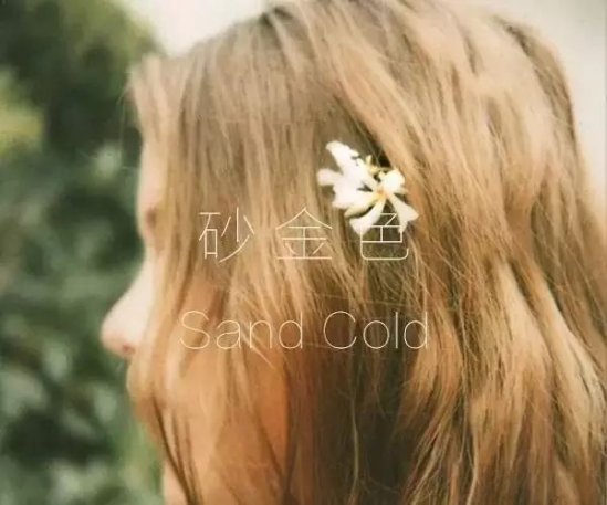2024流行发型