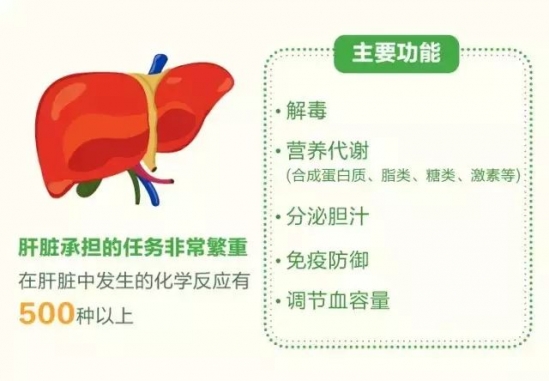 熬夜伤肝吗