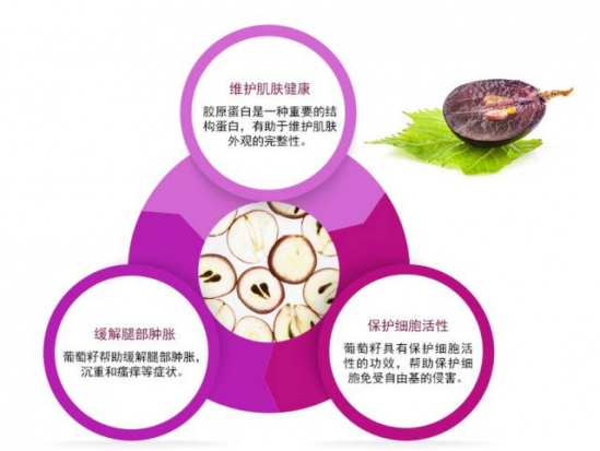 葡萄籽可以抗过敏吗
