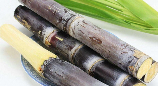 夏天吃什么食物补气血