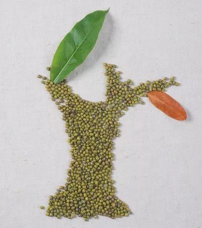 绿豆的食用功效