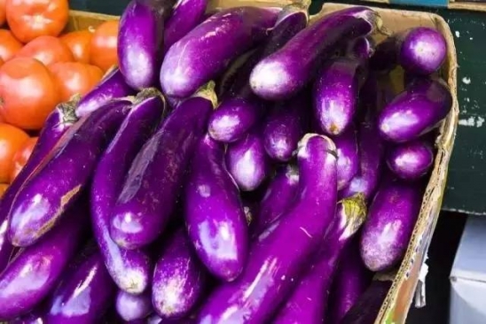 蔬菜保质期一般多久