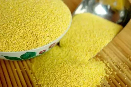 食用小米营养价值
