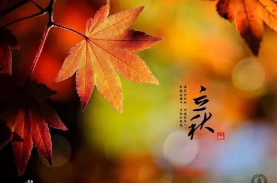 立秋养生常识