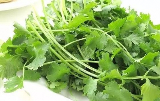 蔬菜的保质期