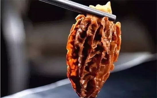 羊肚菌的营养价值