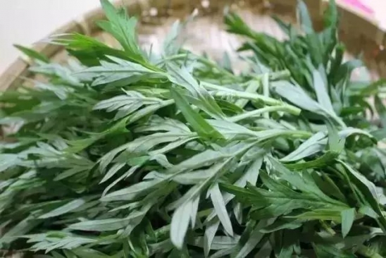 吃艾草的功效与作用