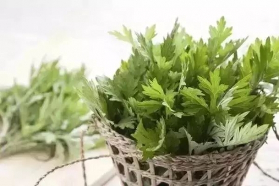吃艾草的功效与作用