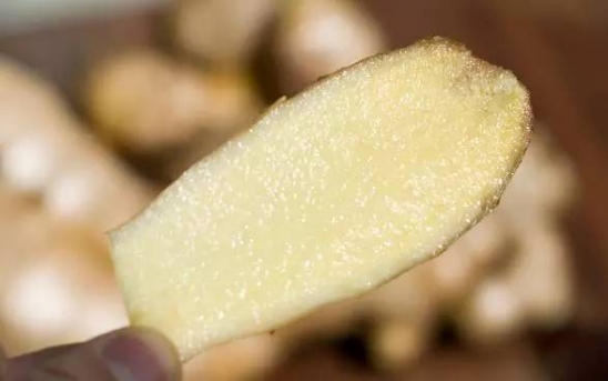 生姜的药用功效与作用