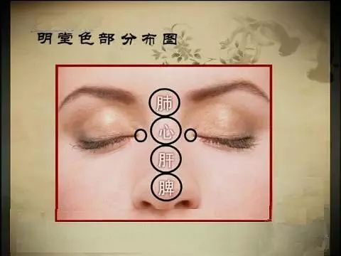 脾胃不好怎么调理