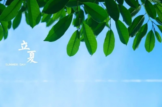 十款冰凉的夏日蜜饮