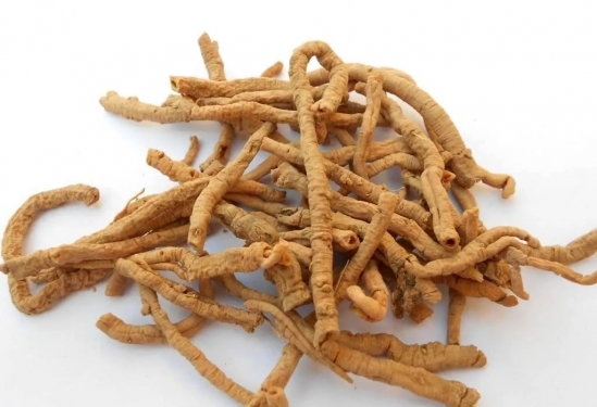 什么中药泡茶喝精力好