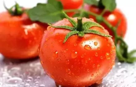 菜是先洗还是先切
