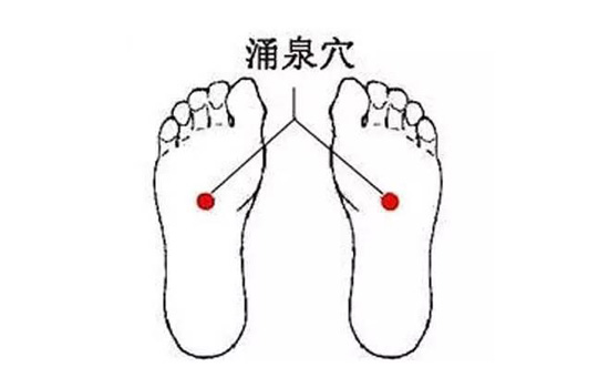 拔罐祛湿位置图 拔罐去湿气的位置图