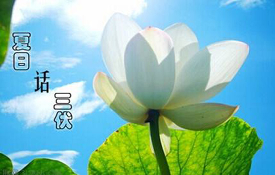 三伏天哪一伏最热 三伏天什么时候最热