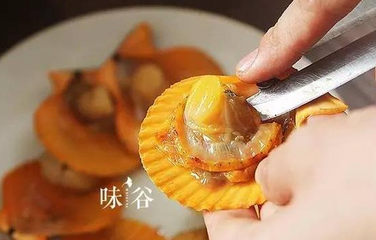 扇贝为什么要放粉丝 为什么做扇贝要加粉丝