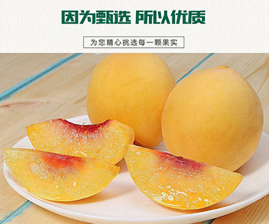 炎陵黄桃多少钱一斤 炎陵黄桃价格