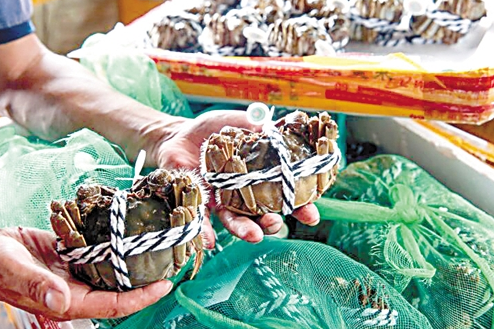 大闸蟹可以带上飞机吗 大闸蟹能带上飞机吗