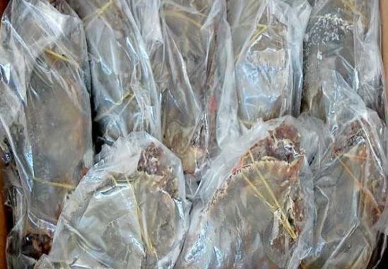 大闸蟹可以冷冻吗 大闸蟹能冷冻吗