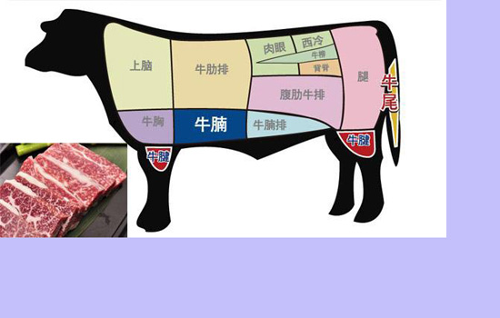 牛肉分割图及名称 牛肉部位分割图