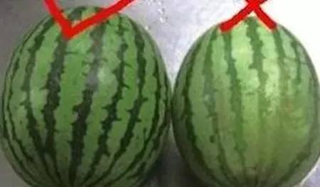 怎么挑选好西瓜