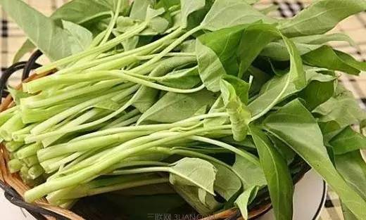 多吃空心菜有什么好处