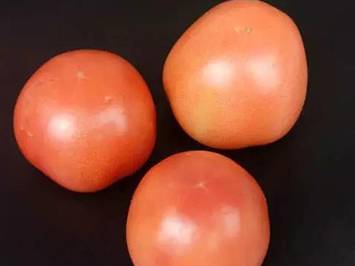 15个实用的食物保鲜方法