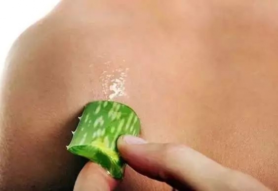 芦荟有什么作用和功效