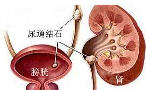 南瓜藤的功效与吃法
