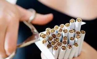 南瓜藤的功效与吃法