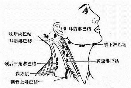 什么人容易得淋巴癌