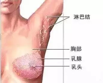 什么人容易得淋巴癌