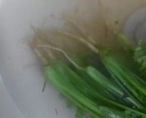 吃香菜有什么好处