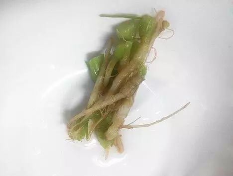 吃香菜有什么好处