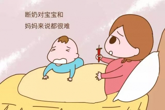 宝宝断奶的最佳方法