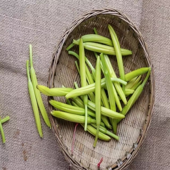 产后下奶的食谱大全