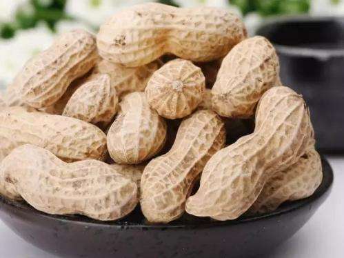 孩子补脑吃什么好 孩子常吃这11种食物必定聪明