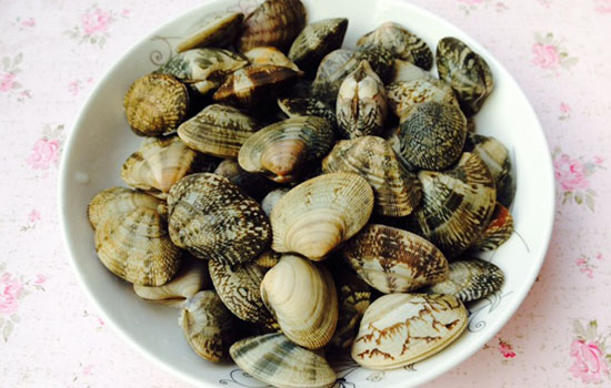 花甲怎么保存才新鲜 花甲如何保存到第二天