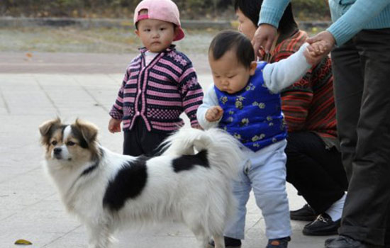 小孩被狗咬了怎么办 孩子让狗咬了怎么办