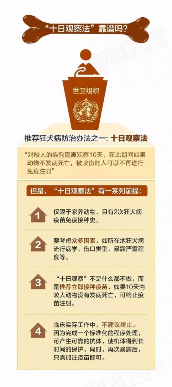 小孩被狗咬了怎么办 孩子让狗咬了怎么办