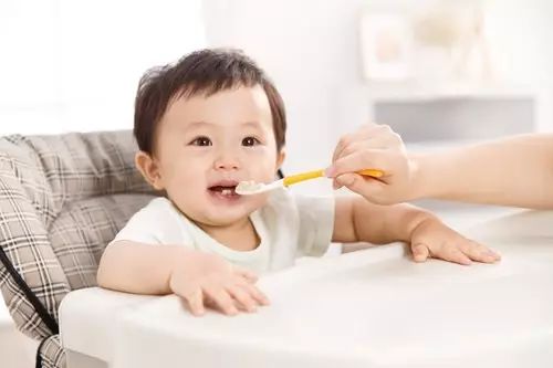 关于宝宝吃肉的问题 宝宝多大才适合吃肉食吗